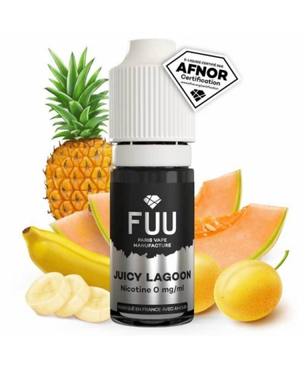 E liquide Juicy Lagoon Silver FUU | Melon Ananas Fruits jaunes
