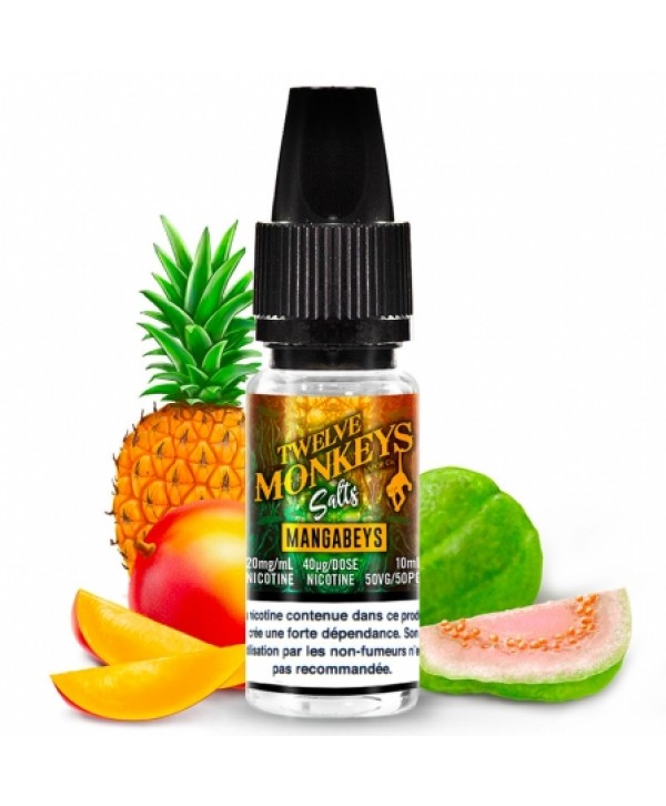 E liquide Mangabeys Sels de nicotine Twelve Monkeys | Sel de Nicotine