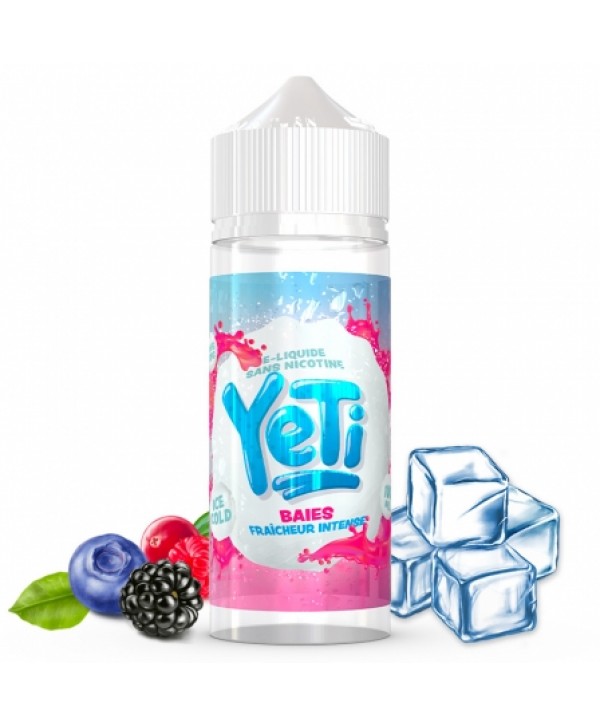 E liquide Frost Bite Yeti 100ml