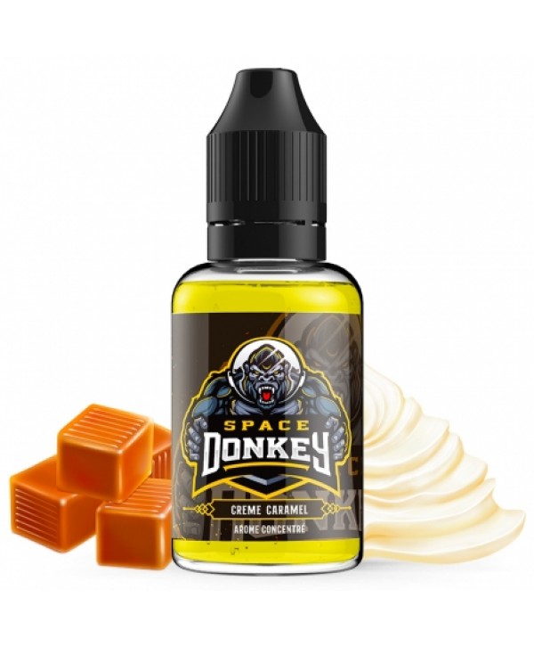 Concentré Space Donkey Xcalibur Arome DIY