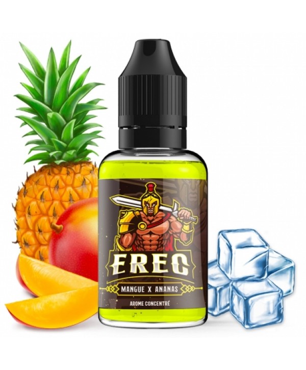 Concentré Erec Xcalibur Arome DIY